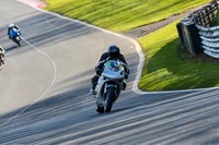 Oulton-Park-20th-March-2020;PJ-Motorsport-Photography-2020;anglesey;brands-hatch;cadwell-park;croft;donington-park;enduro-digital-images;event-digital-images;eventdigitalimages;mallory;no-limits;oulton-park;peter-wileman-photography;racing-digital-images;silverstone;snetterton;trackday-digital-images;trackday-photos;vmcc-banbury-run;welsh-2-day-enduro